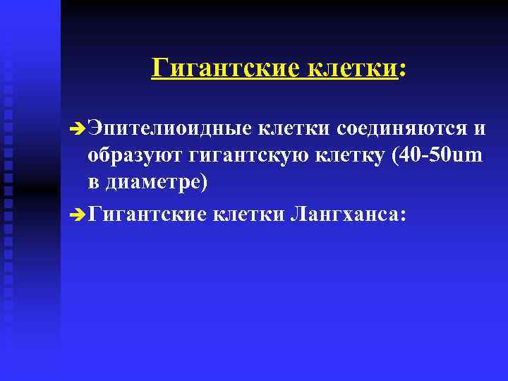 Гигантские клетки: è Эпителиоидные клетки соединяются и образуют гигантскую клетку (40 -50 um в