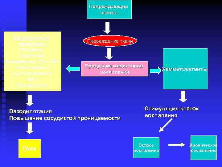 Повреждающие агенты Вазоактивные медиаторы Гистамин, серотонин брадикинин, C 3 a, C 5 a лейкотриены/