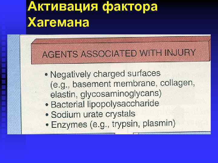 Активация фактора Хагемана 