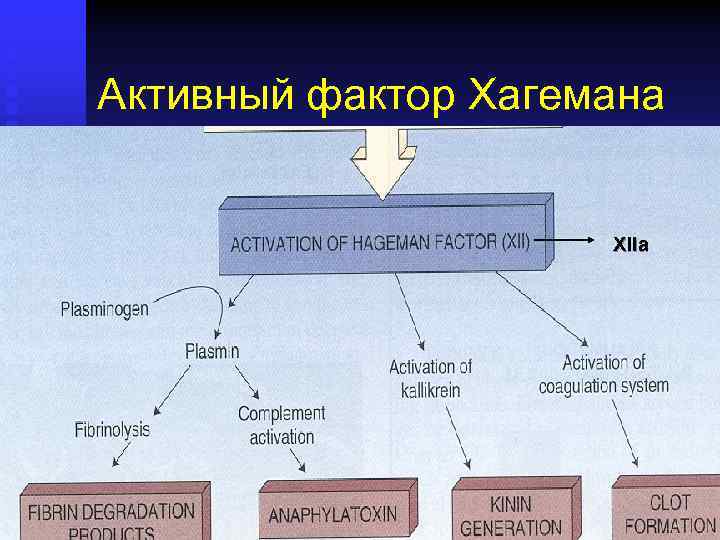 Активный фактор