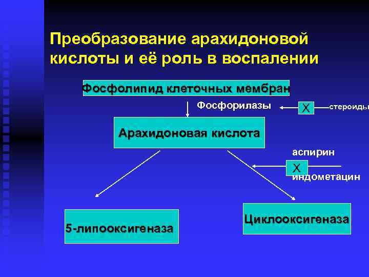 Преобразование арахидоновой кислоты и её роль в воспалении Фосфолипид клеточных мембран Фосфорилазы X стероиды