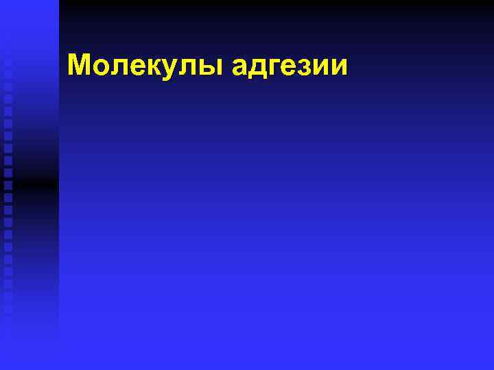 Молекулы адгезии 