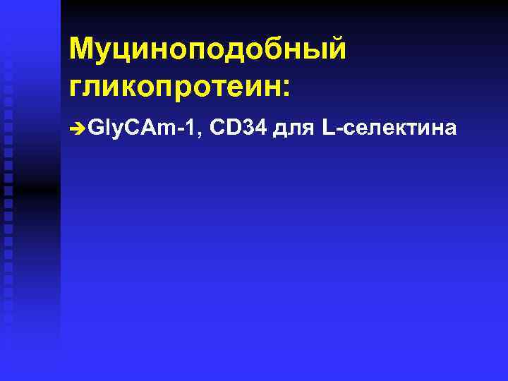 Муциноподобный гликопротеин: è Gly. CAm-1, CD 34 для L-селектина 