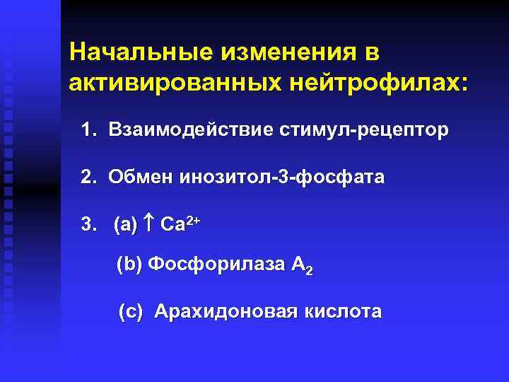 Начальные изменения в активированных нейтрофилах: 1. Взаимодействие стимул-рецептор 2. Обмен инозитол-3 -фосфата 3. (a)