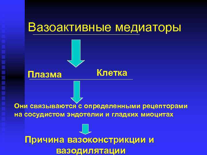Вазоактивные медиаторы Плазма Клетка Они связываются с определенными рецепторами на сосудистом эндотелии и гладких