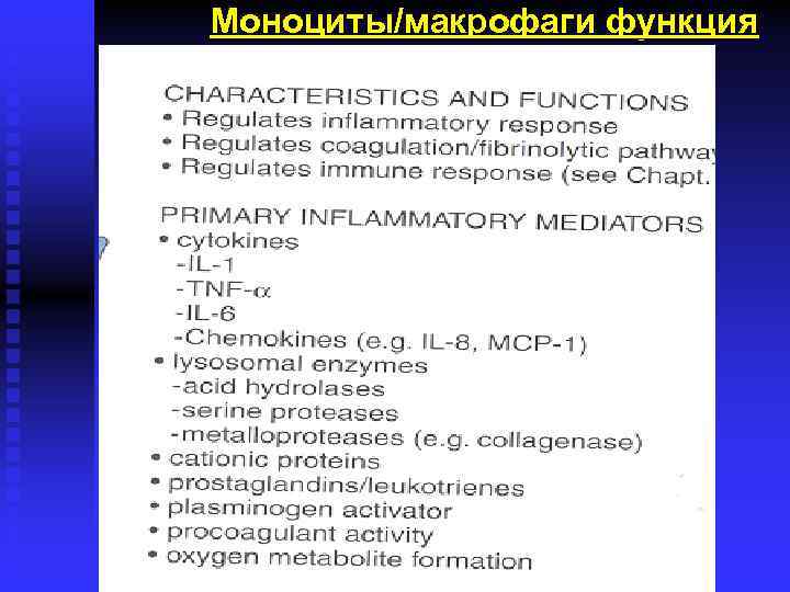 Моноциты/макрофаги функция 