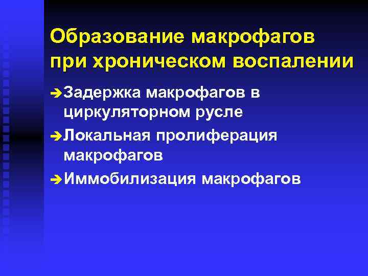 Образование макрофагов при хроническом воспалении è Задержка макрофагов в циркуляторном русле è Локальная пролиферация
