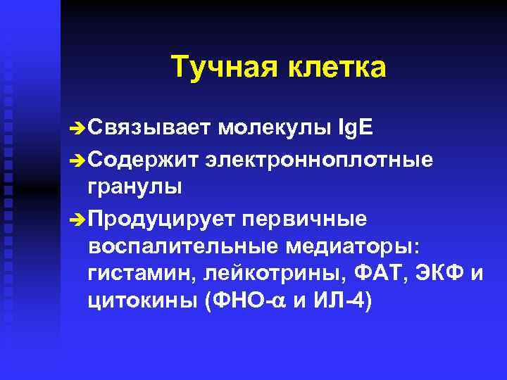 Тучная клетка è Связывает молекулы Ig. E è Содержит электронноплотные гранулы è Продуцирует первичные