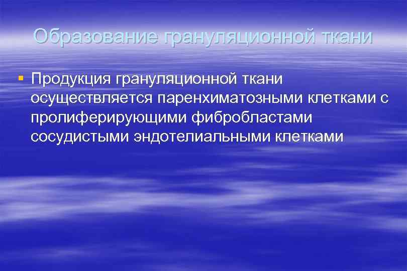 Образование грануляционной ткани § Продукция грануляционной ткани осуществляется паренхиматозными клетками с пролиферирующими фибробластами сосудистыми