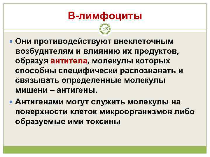    В-лимфоциты     58  Они противодействуют внеклеточным 