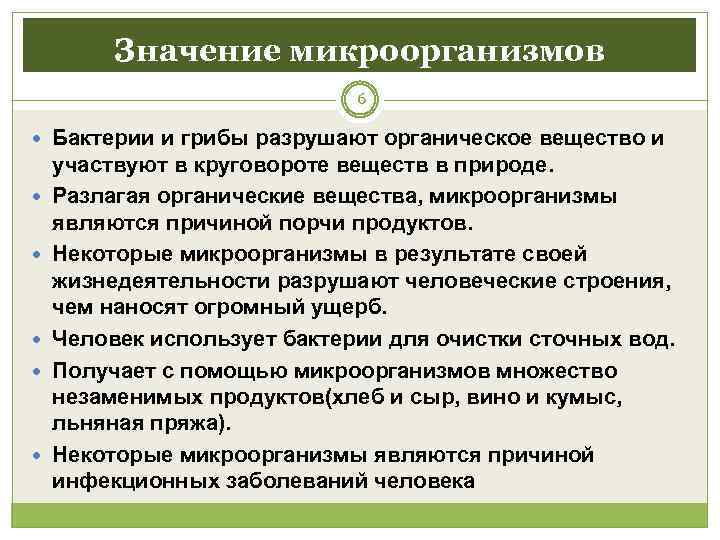    Значение микроорганизмов     6  Бактерии и грибы
