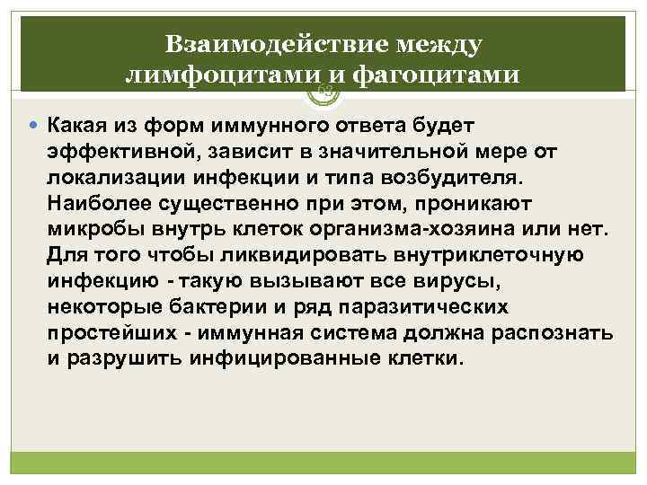    Взаимодействие между   лимфоцитами и фагоцитами    63