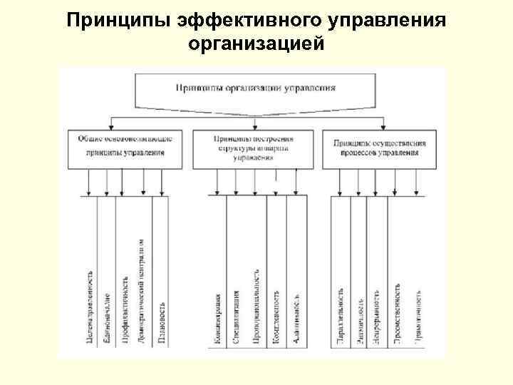 Принципы эффективного управления организацией 