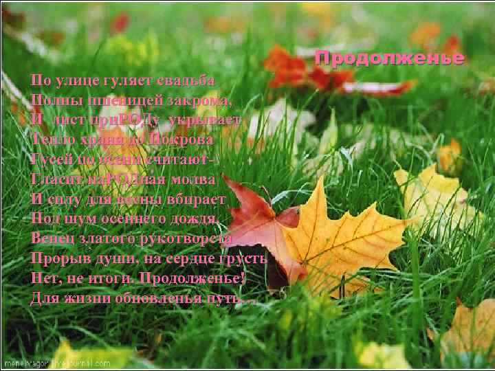 По улице гуляет свадьба Полны пшеницей закрома, И лист при. РОДу укрывает Тепло храня