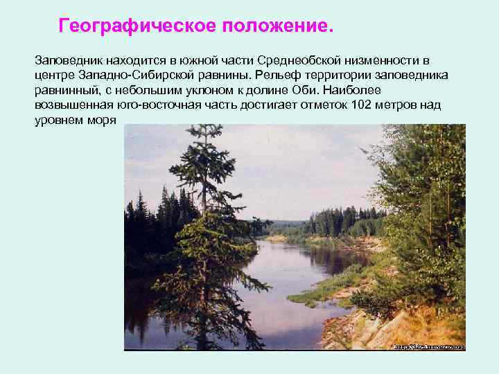 Географическое положение. Заповедник находится в южной части Среднеобской низменности в центре Западно-Сибирской равнины. Рельеф