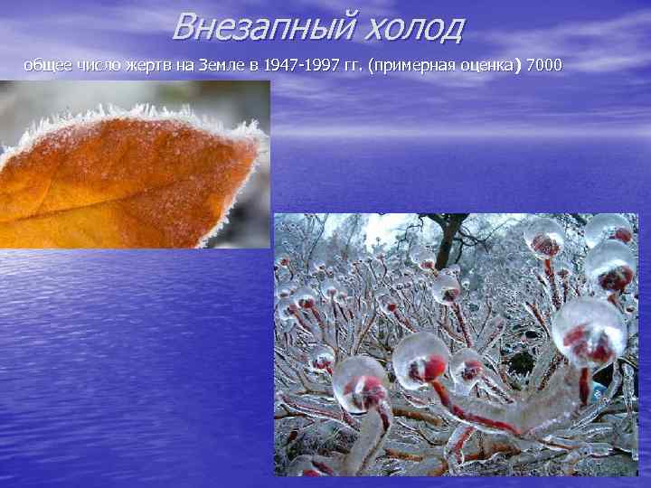 Внезапный холод общее число жертв на Земле в 1947 -1997 гг. (примерная оценка )