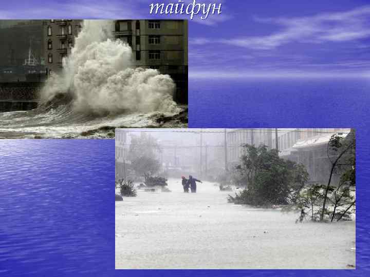 тайфун 
