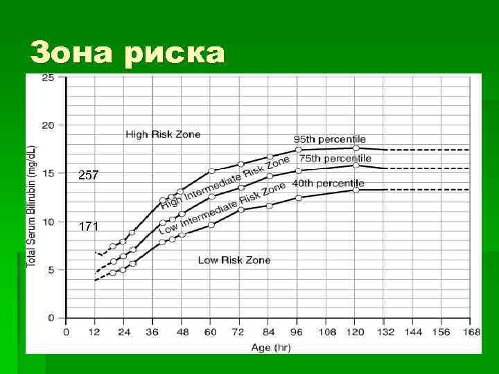 Зона риска 257 171 