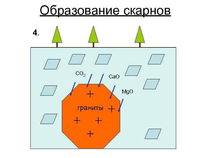 Образование скарнов 4. CO 2 Ca. O Mg. O граниты 