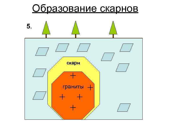 Образование скарнов 5. cкарн граниты 