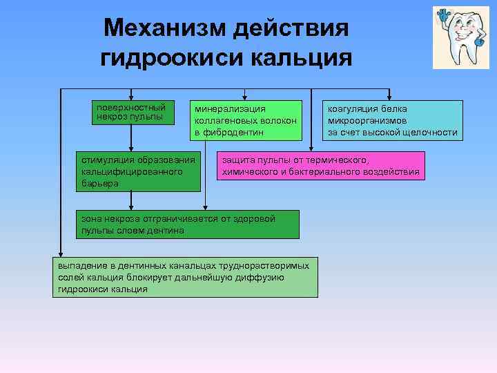 Механизм действия гидроокиси кальция поверхностный некроз пульпы минерализация коллагеновых волокон в фибродентин стимуляция образования