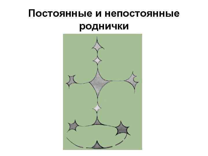 Постоянные и непостоянные роднички 