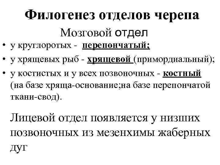 Филогенез отделов черепа Мозговой отдел • у круглоротых - перепончатый; • у хрящевых рыб