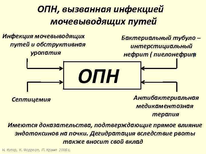 ОПН, вызванная инфекцией мочевыводящих путей Инфекция мочевыводящих путей и обструктивная уропатия Бактериальный тубуло –