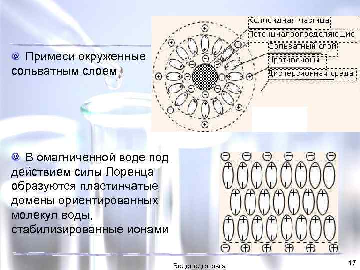 Примеси окруженные сольватным слоем В омагниченной воде под действием силы Лоренца образуются пластинчатые домены