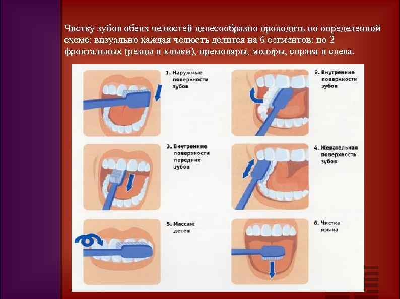 Чистку зубов обеих челюстей целесообразно проводить по определенной схеме: визуально каждая челюсть делится на