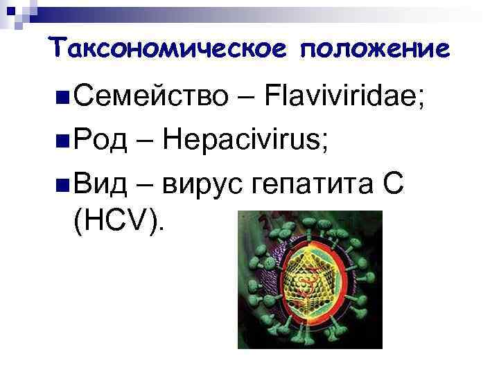 Таксономическое положение n Семейство – Flaviviridae; n Род – Hepacivirus; n Вид – вирус