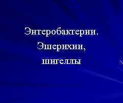 Энтеробактерии. Эшерихии, шигеллы 