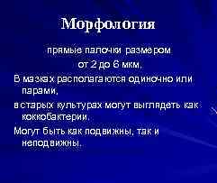 Морфология прямые палочки размером от 2 до 6 мкм. В мазках располагаются одиночно или