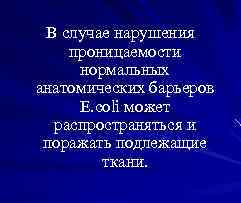 В случае нарушения проницаемости нормальных анатомических барьеров E. coli может распространяться и поражать подлежащие