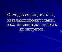 Оксидазоотрицательны, каталазоположительны, восстанавливают нитраты до нитритов. 