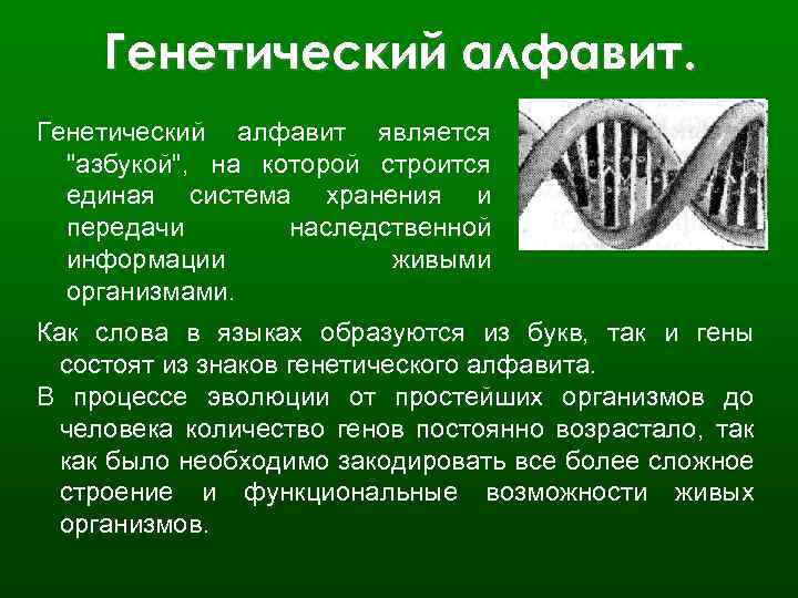 Генетический алфавит является 