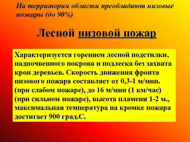 На территории области преобладают низовые пожары (до 90%) Лесной низовой пожар Характеризуется горением лесной