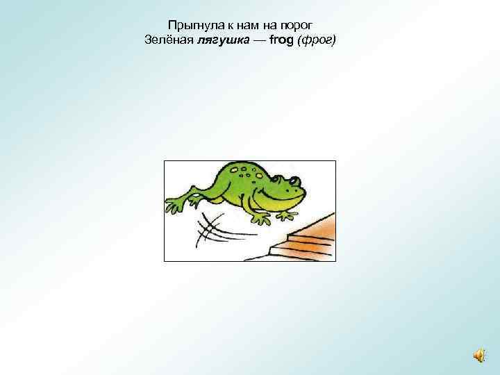 Прыгнула к нам на порог Зелёная лягушка — frog (фрог) 