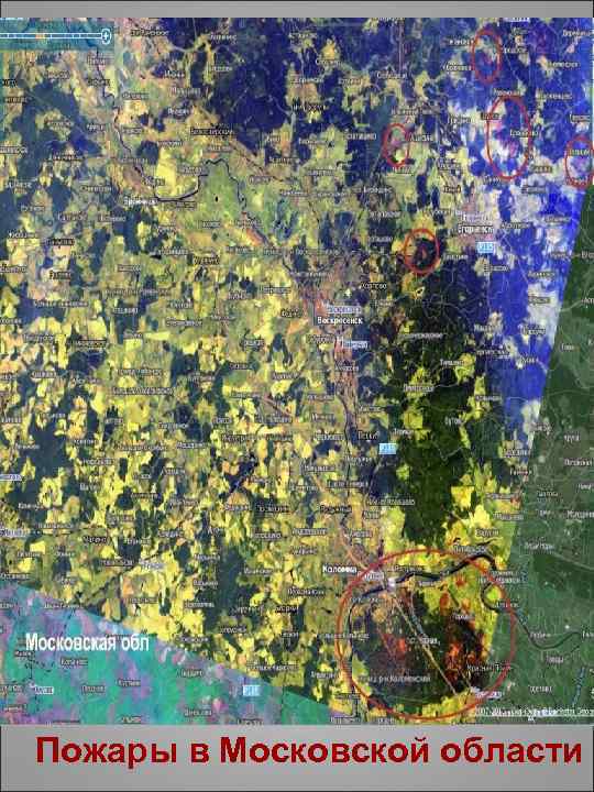Пожары в Московской области 