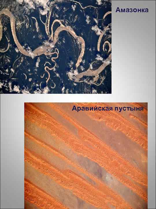 Амазонка Аравийская пустыня 