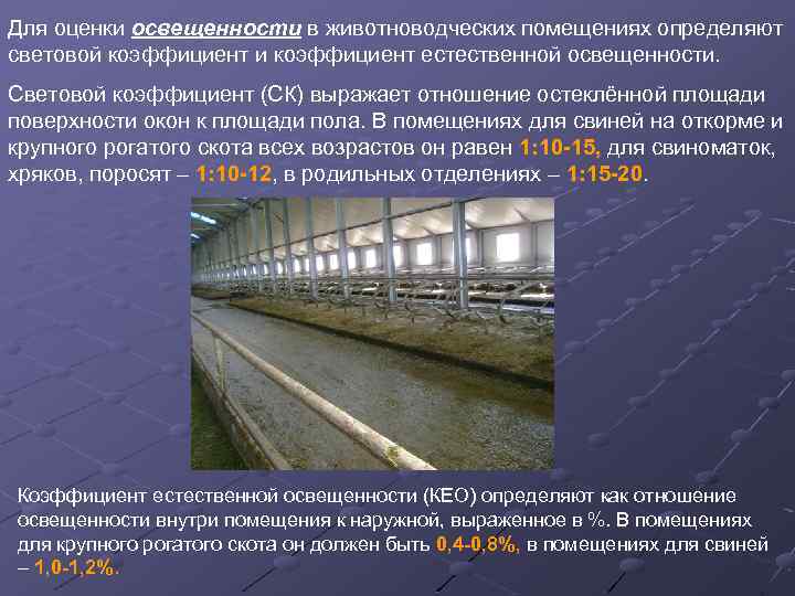 Для оценки освещенности в животноводческих помещениях определяют световой коэффициент и коэффициент естественной освещенности. Световой