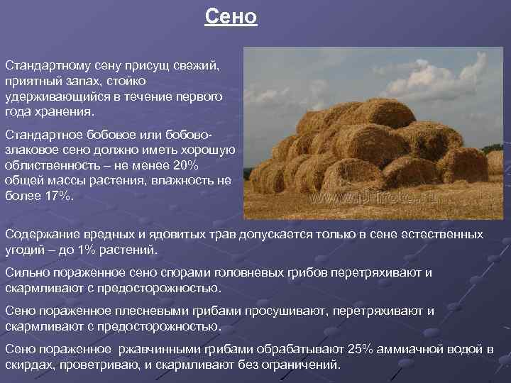 Сено Стандартному сену присущ свежий, приятный запах, стойко удерживающийся в течение первого года хранения.