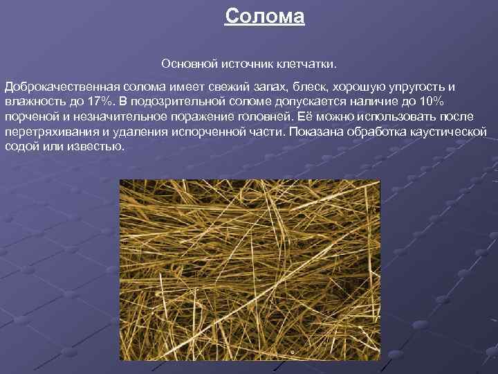 Солома Основной источник клетчатки. Доброкачественная солома имеет свежий запах, блеск, хорошую упругость и влажность