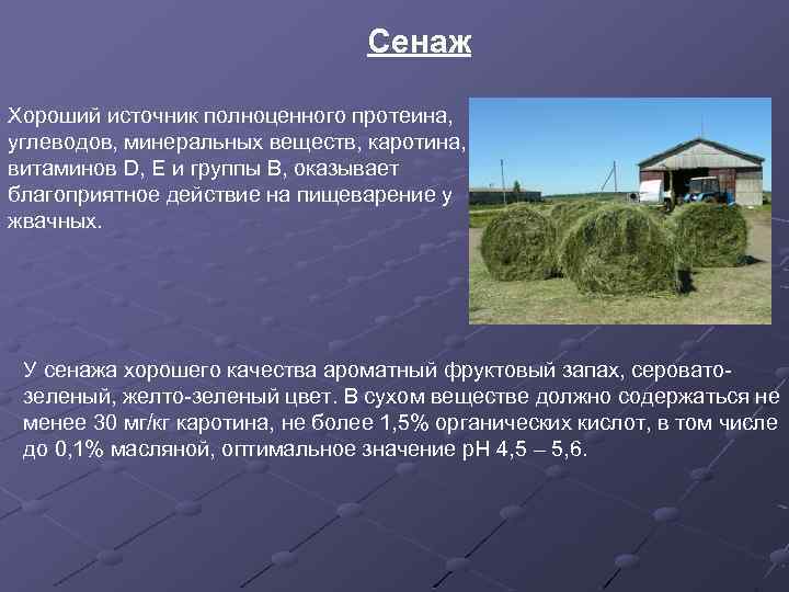 Сенаж Хороший источник полноценного протеина, углеводов, минеральных веществ, каротина, витаминов D, Е и группы