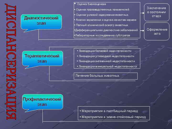 Оценочный этап картины заболевания