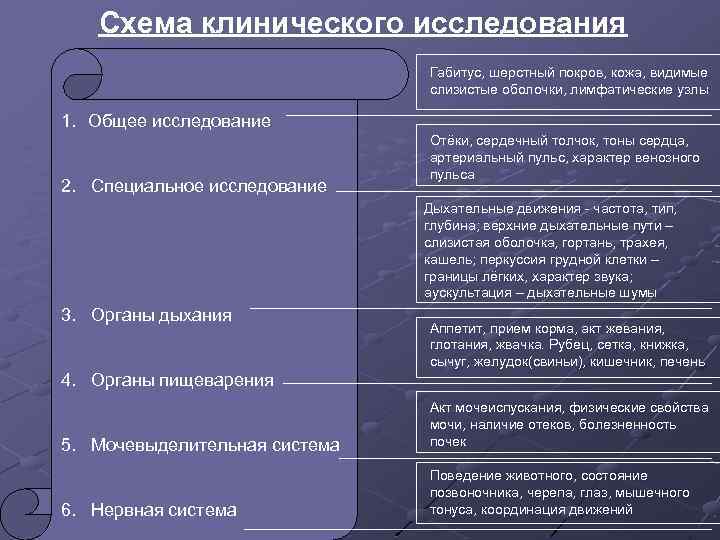 Схема клинического исследования Габитус, шерстный покров, кожа, видимые слизистые оболочки, лимфатические узлы 1. Общее