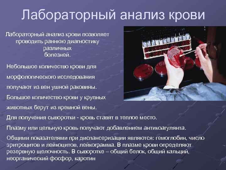 Лабораторный анализ крови позволяет проводить раннюю диагностику различных болезней. Небольшое количество крови для морфологического