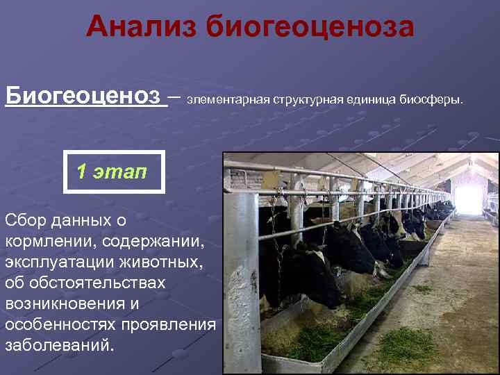 Анализ биогеоценоза Биогеоценоз – элементарная структурная единица биосферы. 1 этап Сбор данных о кормлении,