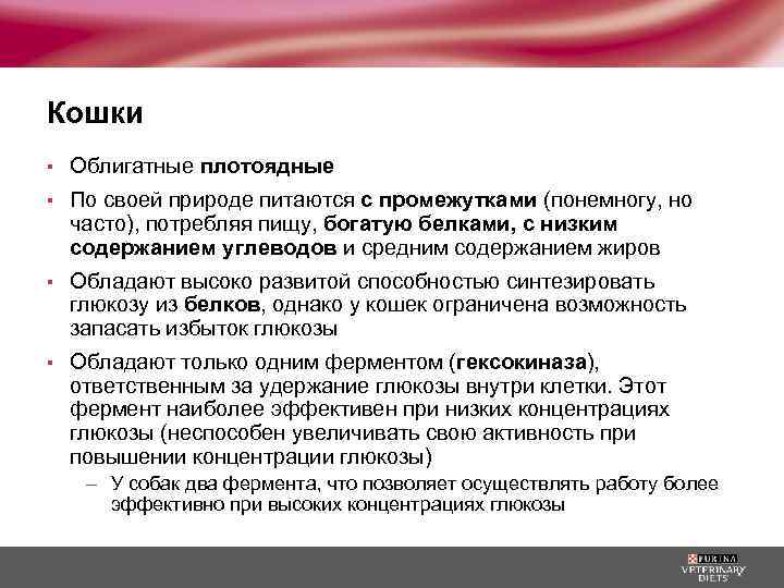 Кошки ▪ Облигатные плотоядные ▪ По своей природе питаются с промежутками (понемногу, но часто),