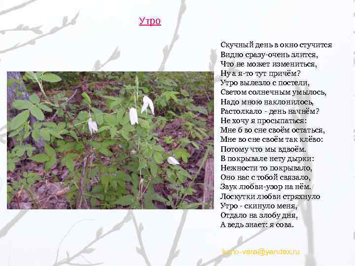 Утро Скучный день в окно стучится Видно сразу-очень злится, Что не может измениться, Ну